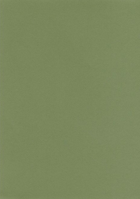 Papiers couleurs A4 "Mid Green"